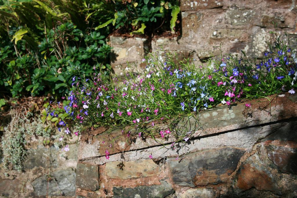 The Bark House Tiverton (Devon) Exterior foto