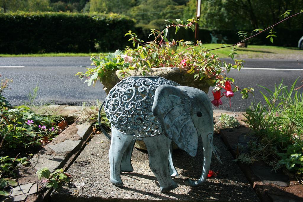 The Bark House Tiverton (Devon) Exterior foto