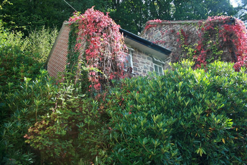 The Bark House Tiverton (Devon) Exterior foto