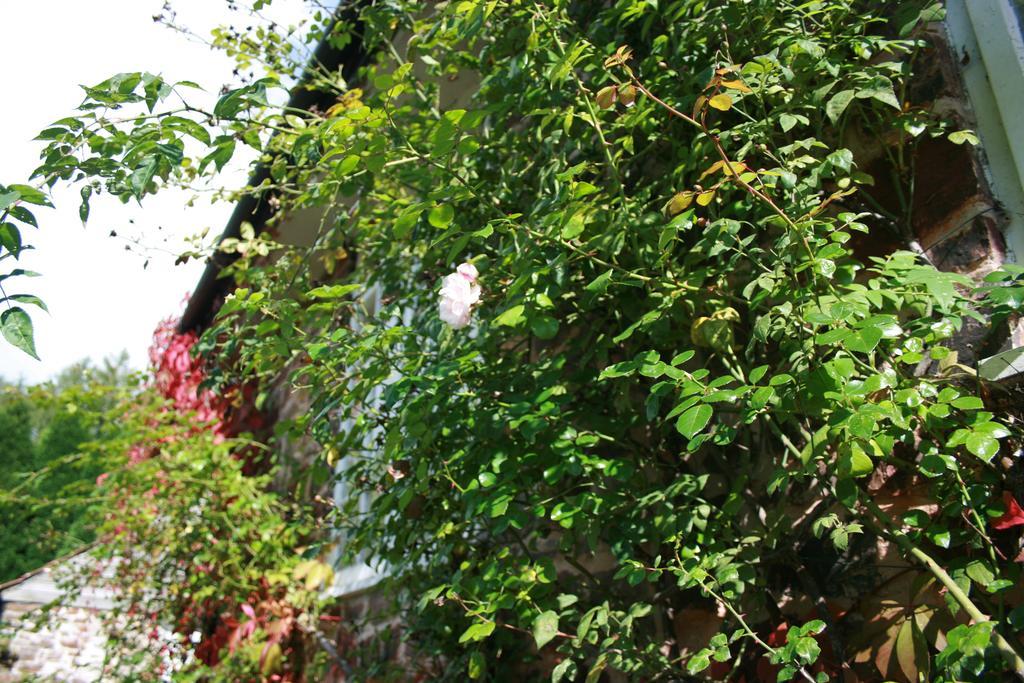 The Bark House Tiverton (Devon) Exterior foto