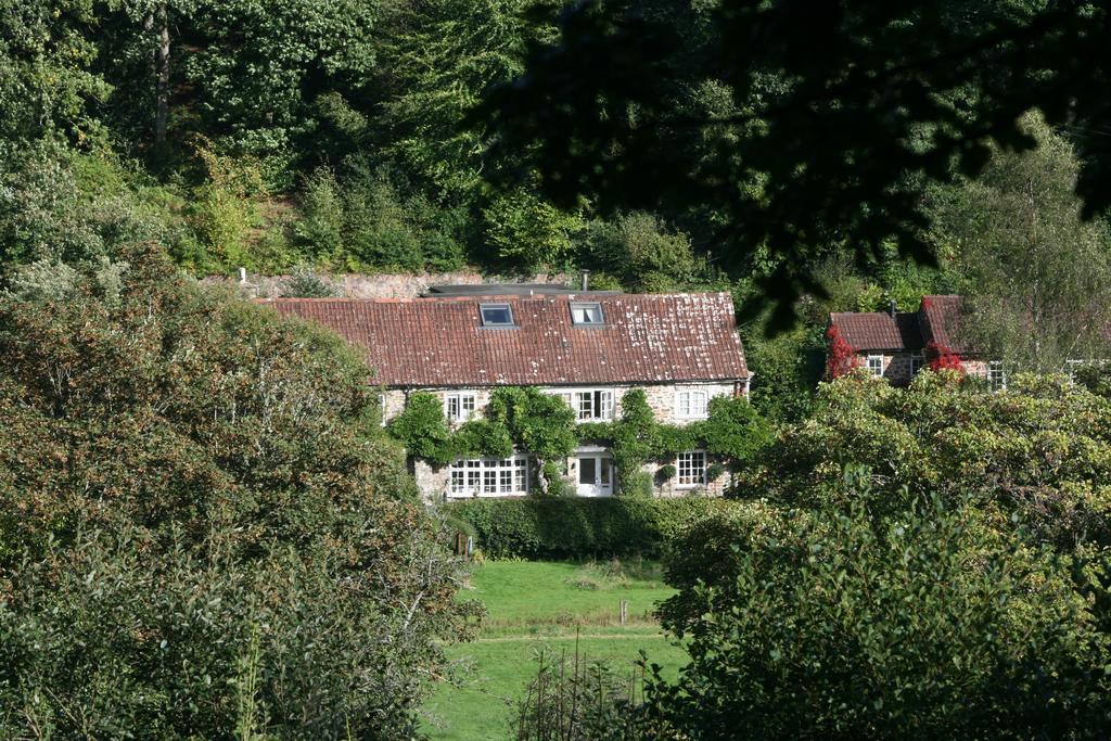 The Bark House Tiverton (Devon) Exterior foto