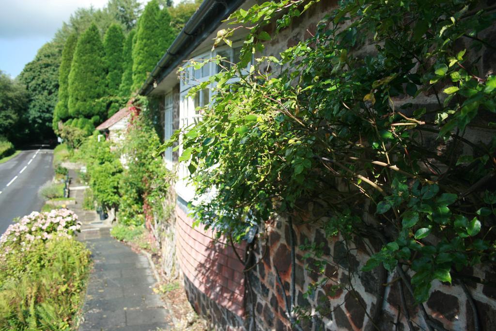 The Bark House Tiverton (Devon) Exterior foto